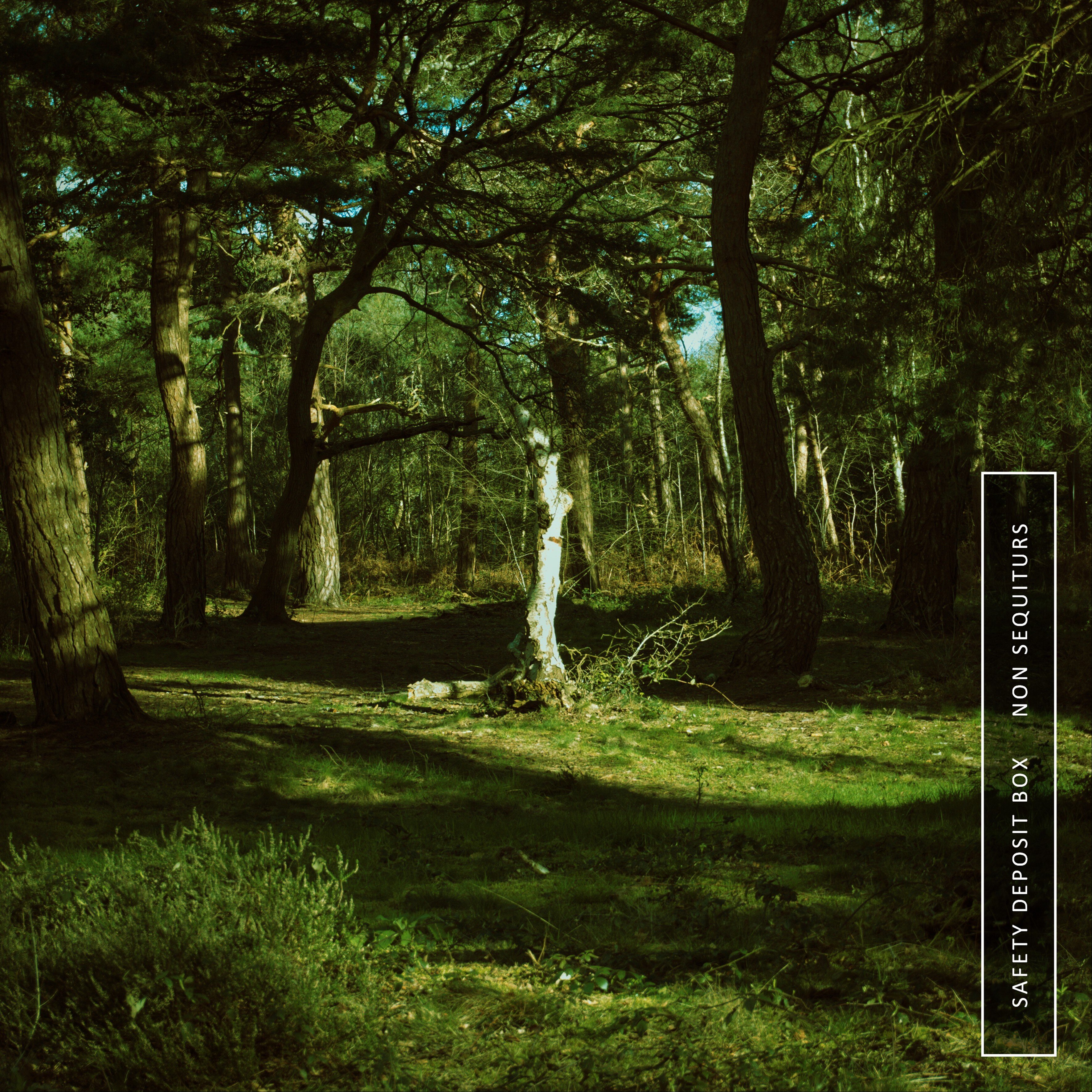 Non Sequiturs 1 artwork